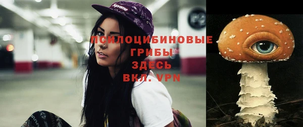 ALPHA-PVP Богородицк
