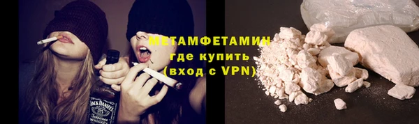 шишки Бородино