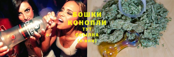 mdpv Богданович