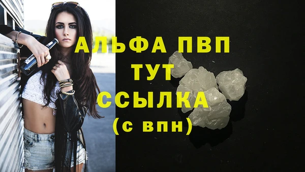 mdpv Богданович