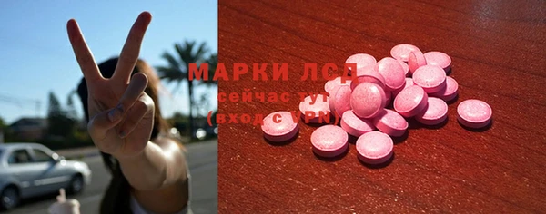 шишки Бородино